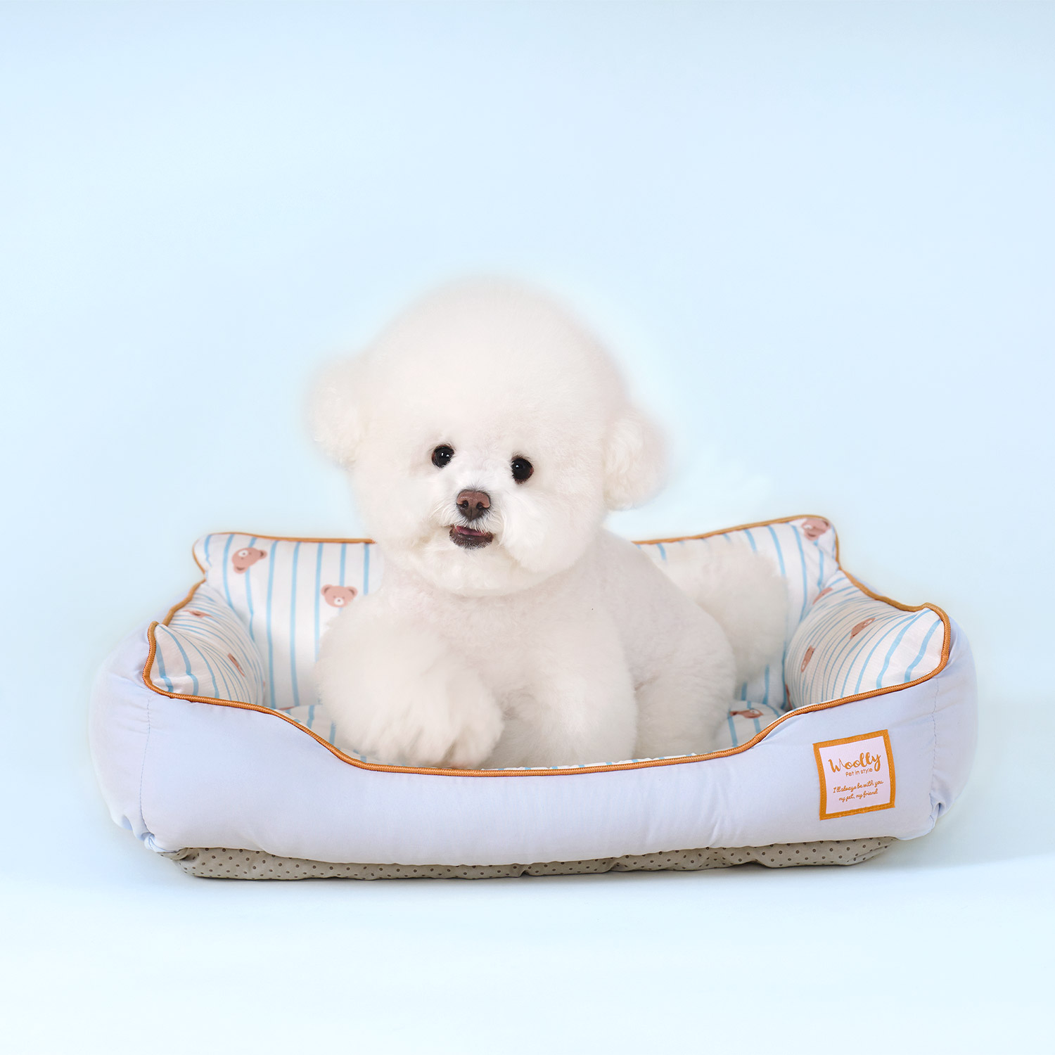 [고양이의 날] 울리 여름 쿨링 필로우 쿨방석 쿨매트 고양이 강아지냉감방석 M 이미지 7