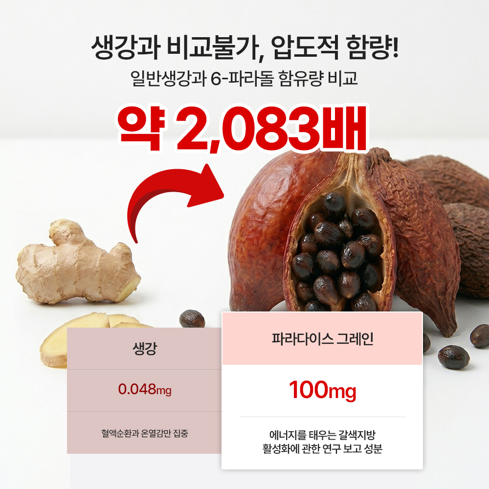 젠업 파라다이스 그레인 버닝핏 20배농축 6파라돌 알파cd 60정, 1개 - 상세 이미지 5