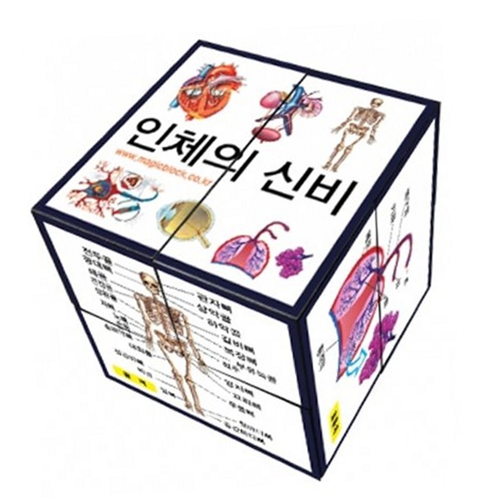 입체모형방과후수업인체매직큐브 탐구놀이과학실험 초등고학년인체매직블럭 5인세트 일반형(자석없음) - 상품 이미지