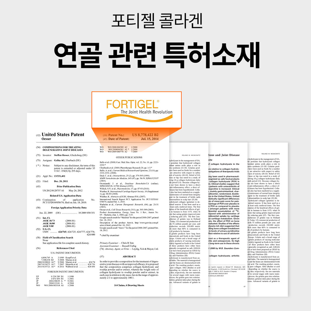 철갑상어 콘드로이친 상어연골 CS6형+몰트 MSM 관절 연골 프리미엄 영양제+류신단백질  트리플기획 이미지 7