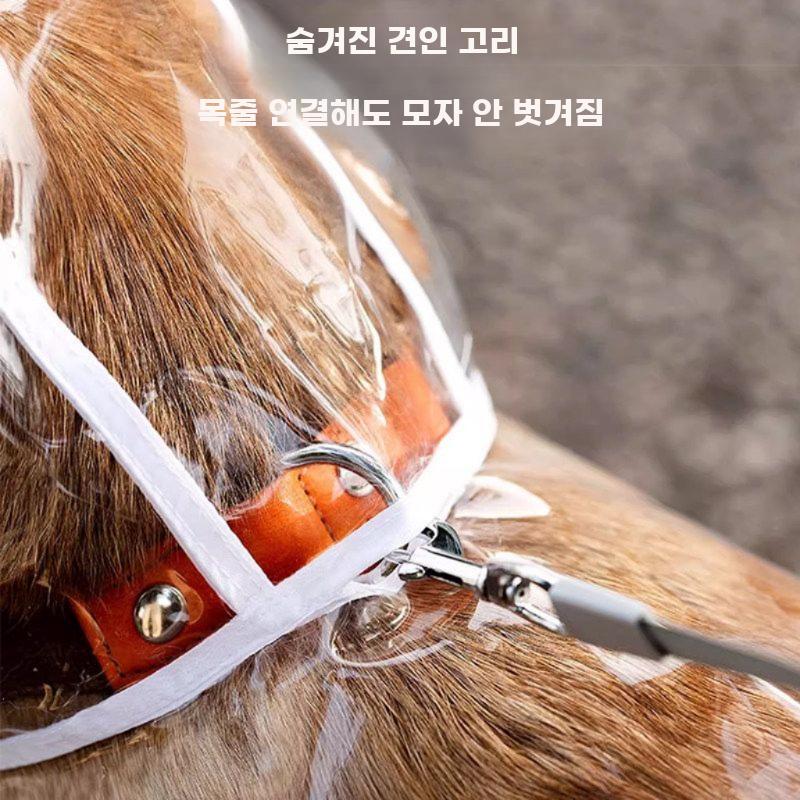 강아지 우비 우의 대형견 레인코트 방수 비옷 장마철 산책 흰색테두리 투명 비옷 S (등 22-26cm 1-1.5kg) - 상세 이미지 2