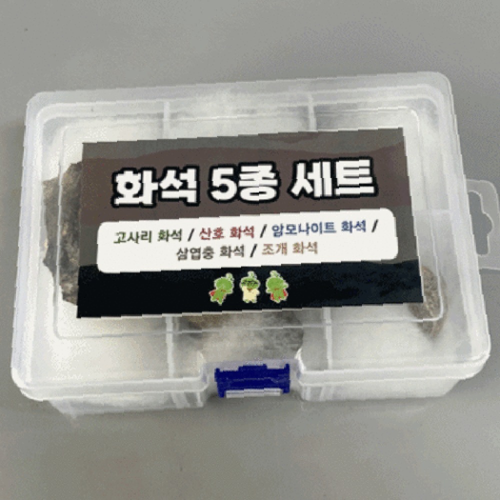 초등고학년화석세트 방과후수업화석표본 지층탐구 5종세트 - 상품 이미지