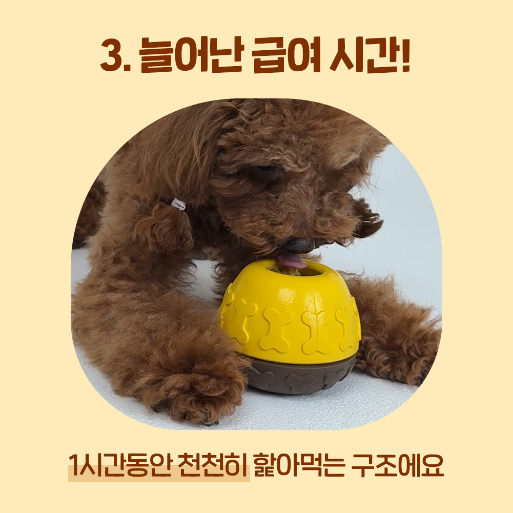 꿀단지 노즈워크 장난감 오래먹는 허니팟, 1개 - 상세 이미지 4