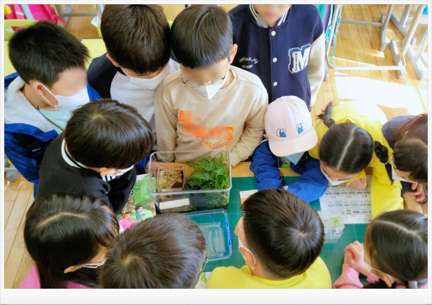 하이밀 청개구리키우기 곤충의숲 포트리움 비바리움 먹이포함 풀세트 판매처 상세 정보 이미지 3