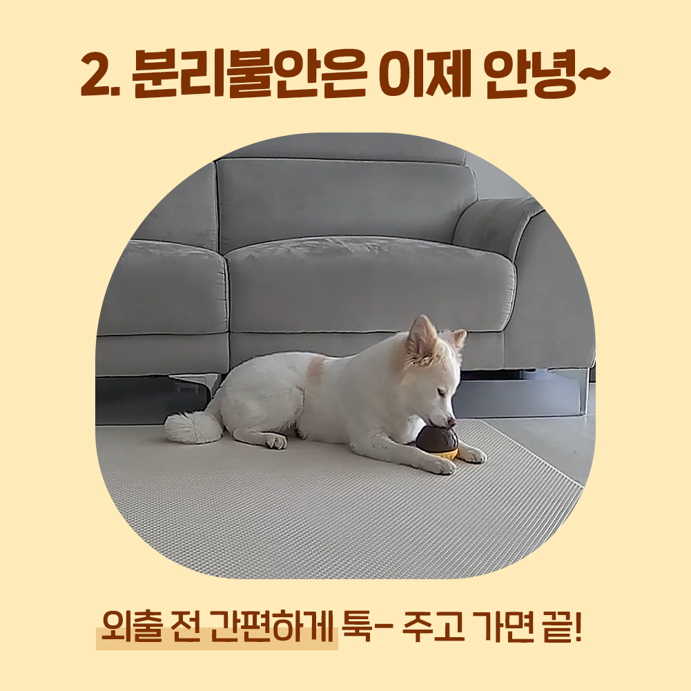 꿀단지 노즈워크 장난감 오래먹는 허니팟, 1개 - 상세 이미지 3