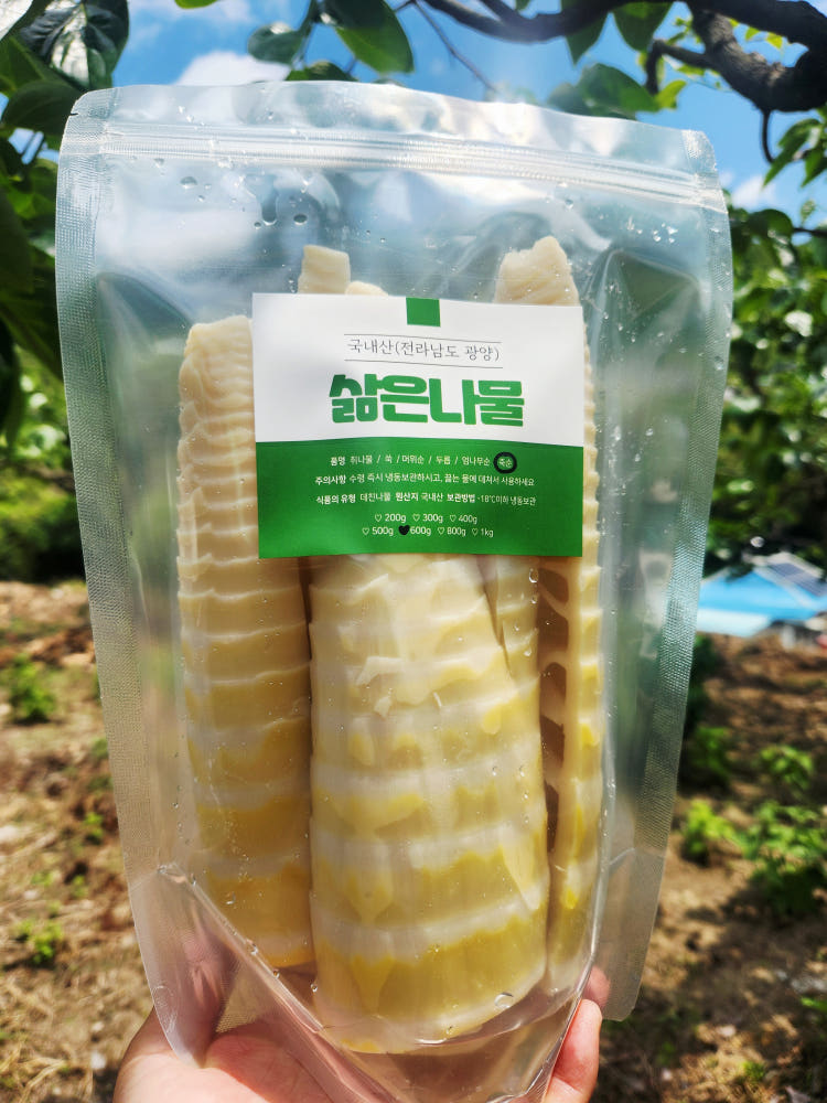 햇 죽순 맹종 오죽 분죽 생죽순 삶은 생죽순 - 상품 이미지