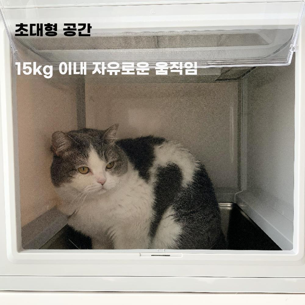 고양이 위생 화장실 반려묘 밀폐형 배변통 스테인리스 후드형 51x41x38cm + 삽 - 상세 이미지 5