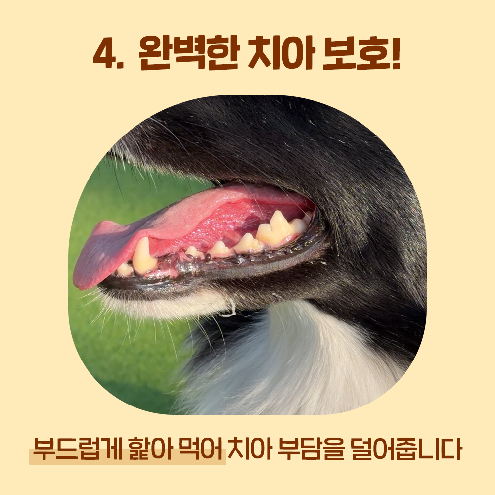 꿀단지 노즈워크 장난감 오래먹는 허니팟, 1개 - 상세 이미지 5