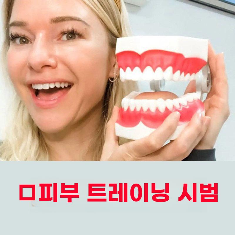 구강모형 영어발음 교육 치아 모형 치과 이빨 모델 실습 표준모델 - 상세 이미지 5
