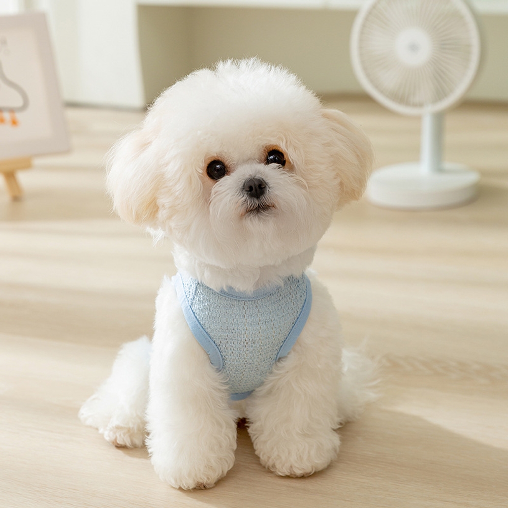 강아지 고양이 귀여운 니트 조끼 통기성 여름 산책용 귀여운 블루 XS (권장 체중 0.5~1.5kg) - 상세 이미지 2