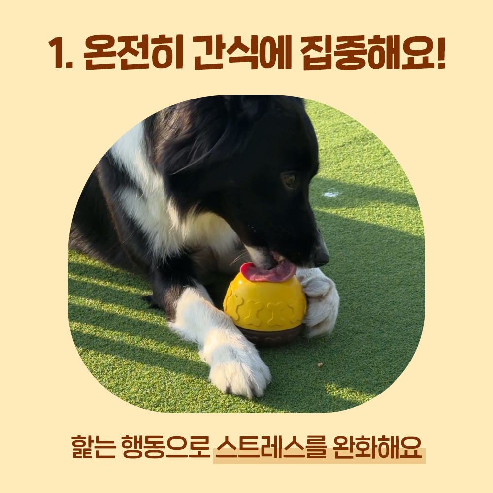 꿀단지 노즈워크 장난감 오래먹는 허니팟, 1개 - 상세 이미지 2