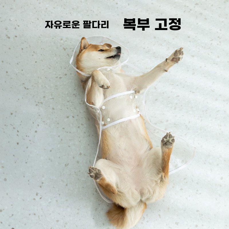 강아지 우비 우의 대형견 레인코트 방수 비옷 장마철 산책 흰색테두리 투명 비옷 S (등 22-26cm 1-1.5kg) - 상세 이미지 4