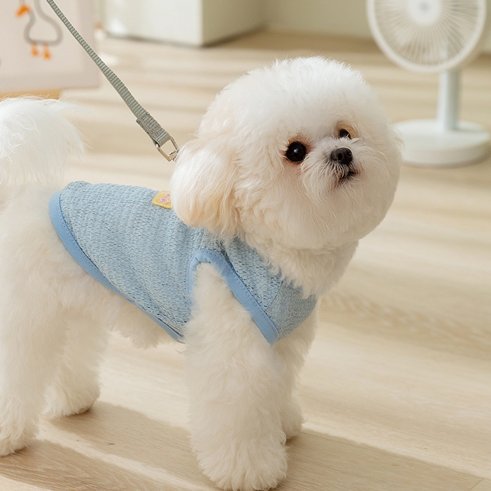 강아지 고양이 귀여운 니트 조끼 통기성 여름 산책용 귀여운 블루 XS (권장 체중 0.5~1.5kg) - 상세 이미지 3