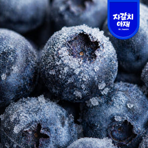 A급 고당도 블루베리 미국캐나다산 세척 프리미엄 1kg, 5개 맛있게 먹은 솔직 후기 - 상품 이미지 2