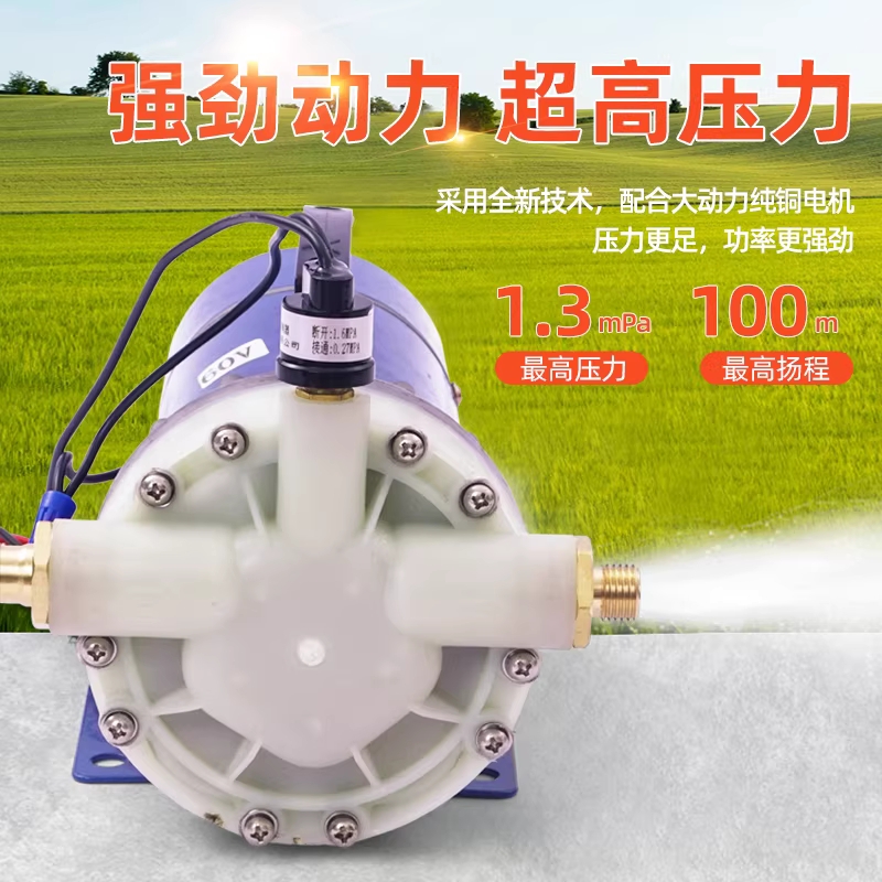 전동 양수기 스프링클러 고압 농사용 자흡식 관수 230w 12v - 상세 이미지 4