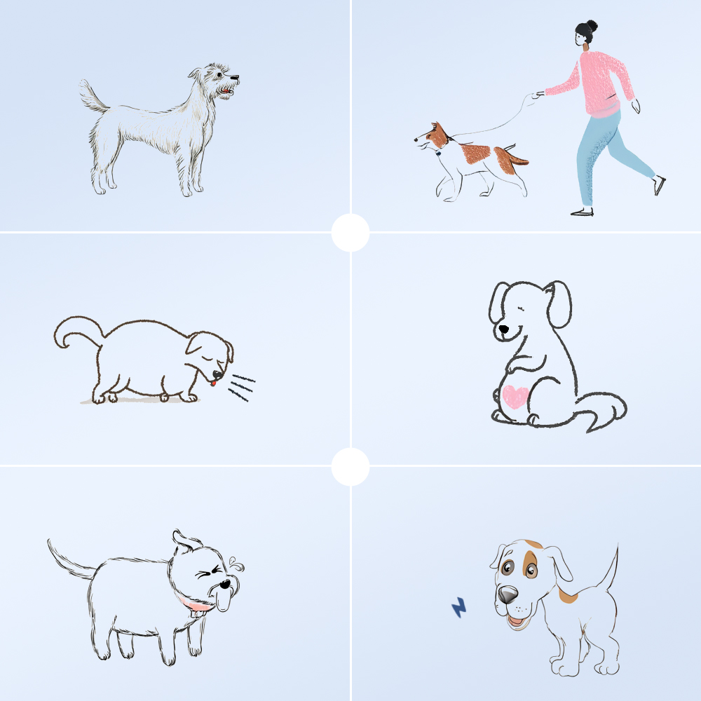 강아지 신속분사 산소캔 고양이 펫 산소 스프레이 816ml 3개, 노견 노묘 앵무새 햄스터 이미지 8