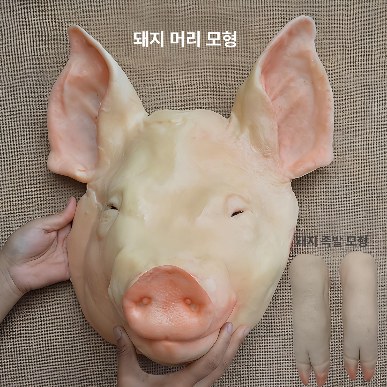장식품 가짜돼지머리모형 전시 고사 제삿상 인테리어 소품 디자인 조각 - 상세 이미지 5