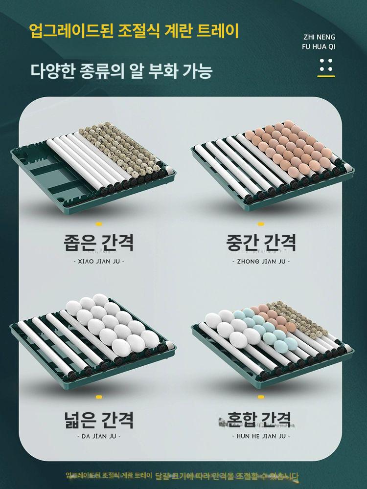 달걀 알 가정용 계란 거위 병아리 자동부화기 미니 메추리 소형 키우기 육추기 - 상세 이미지 2