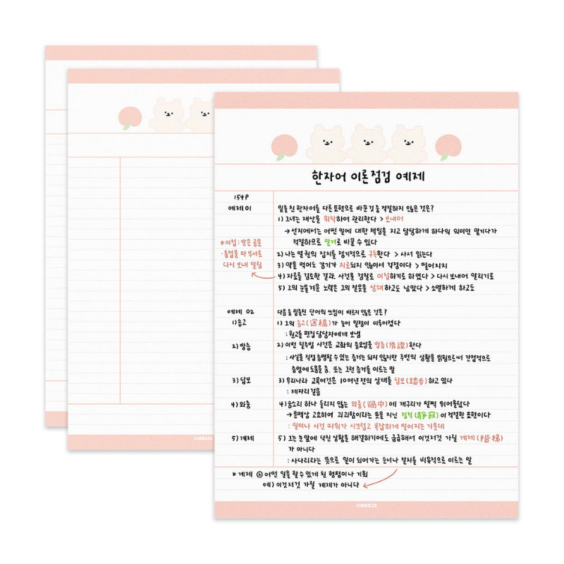 치이즈샵 떡메모지 B5 피식곰 코넬노트 필기법 정리 캐릭터 예쁜 메모지 공시생 메모장 - 상세 이미지 3