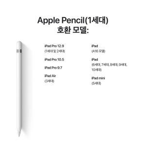 Apple Pencil 애플펜슬 1세대 개봉기 | 실사용 후기 - 상품 이미지 2