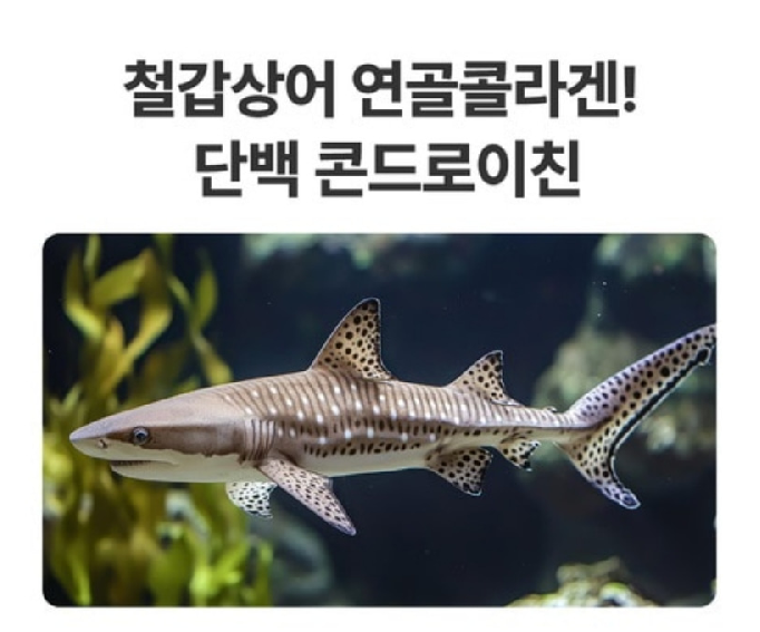 차세대 콘드로이친120070 1700 콘드로이친NC 코드로이친 이미지 8