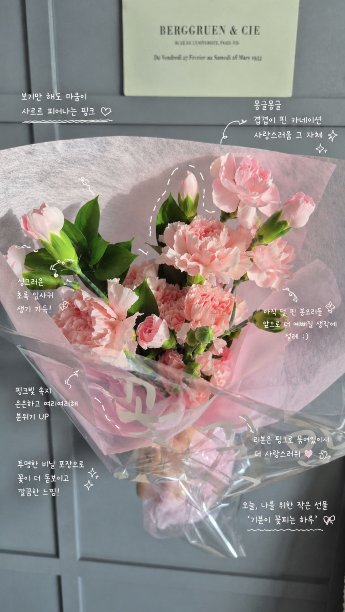 오묘한꽃집 카네이션 생화 레터링 꽃다발 가격 비교 오묘한꽃집 오묘한꽃집 카네이션 생화 레터링 꽃다발