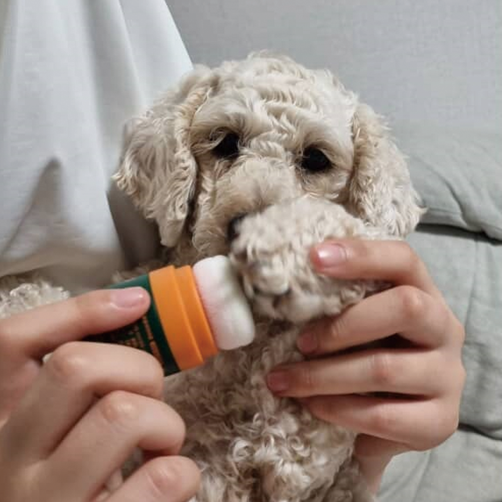 아이리스 러브앤독 논슬립파우더  강아지 미끄럼방지 파우더 발바닥 보호제 애견 관절 보호 이미지 8
