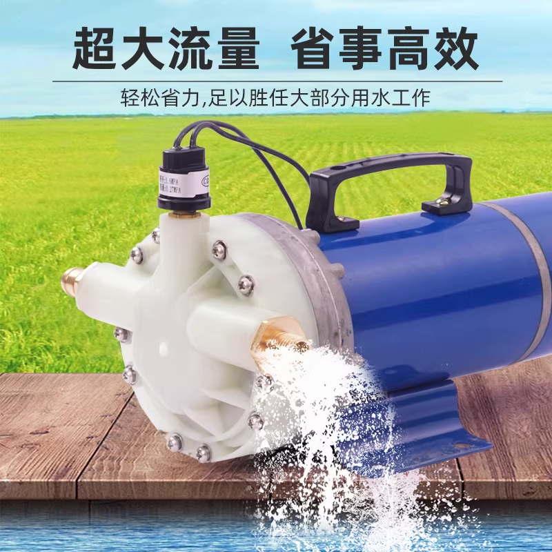 전동 양수기 스프링클러 고압 농사용 자흡식 관수 230w 12v - 상세 이미지 3