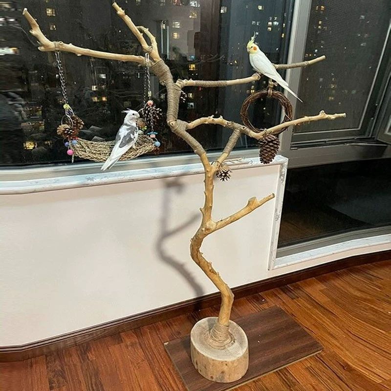 대형 스탠드 조류 나뭇가지 앵무새횟대 훈련 앵무새놀이터 배변판 등반 폴대타워 - 상세 이미지 2