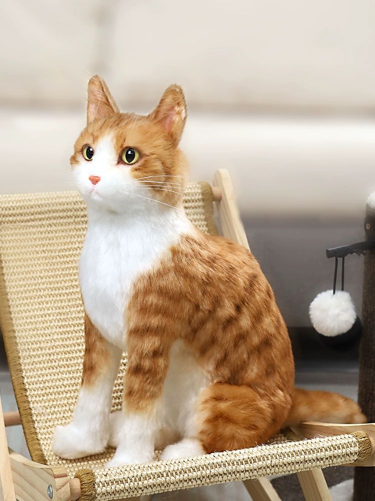 진짜같은 고양이 인형 리얼 대형 모찌 치즈냥이 동물 애착 앉아있는 인테리어 - 상품 이미지