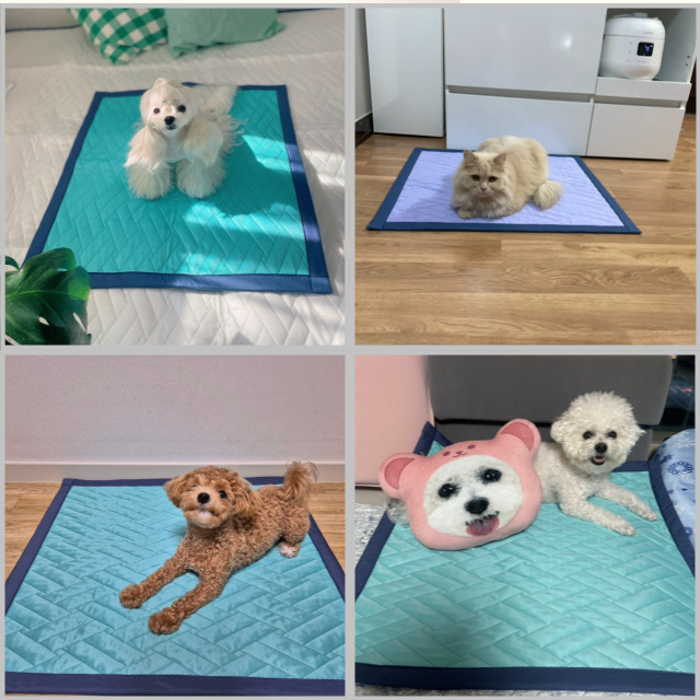 FITINUS 피디너스 강아지냉감매트 고양이쿨패드 대형견냉감 강아지유모차매트 이미지 6