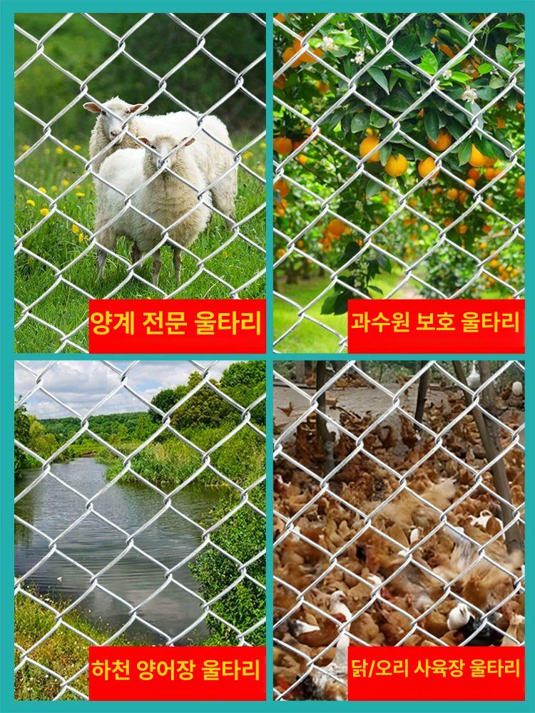 펜스 능형망 안전망 아연도금 방호망 울타리 그물망 와이어 가축 방형망 메쉬망 염소 - 상세 이미지 2