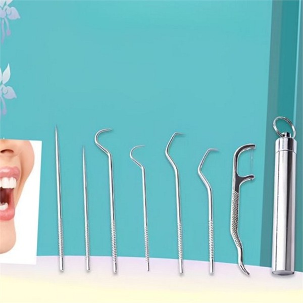 간편 휴대용 이쑤시개 치실 스테인리스 이쑤시개 스텐레스 치과용 치아 - 상품 이미지