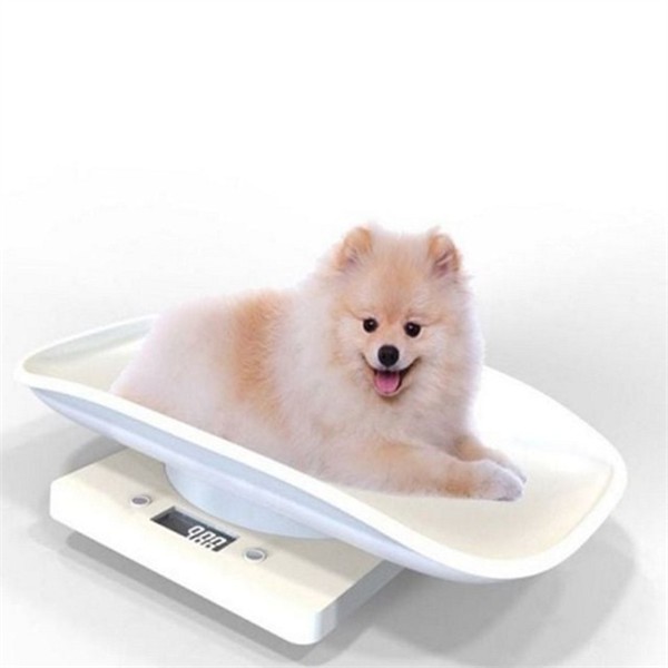 반려동물 강아지 체중계 애묘 고양이 체중계 소형 전자 - 상세 이미지 2
