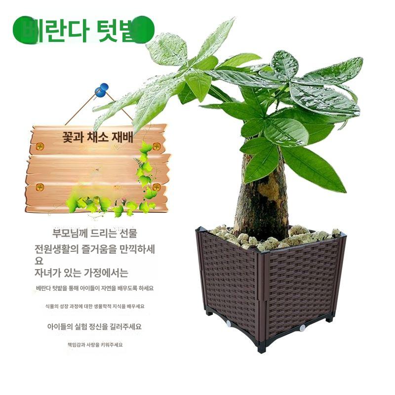사각 플랜트박스 조립식 야외 텃밭상자 홈가드닝 실내텃밭 화분 분갈이 - 상세 이미지 3