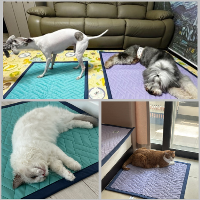 FITINUS 피디너스 강아지냉감매트 고양이쿨패드 대형견냉감 강아지유모차매트 - 상세 이미지 2