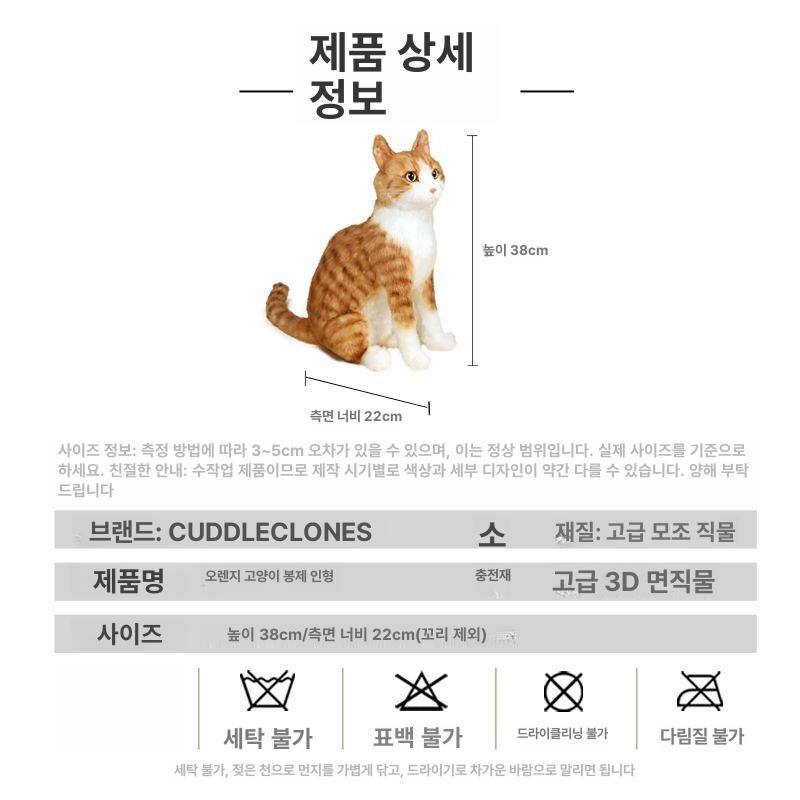 치즈냥이 고양이인형 페르시안 대형 플러시 키덜트 봉제인형 리얼펫 쿠션 장식용품 - 상세 이미지 4