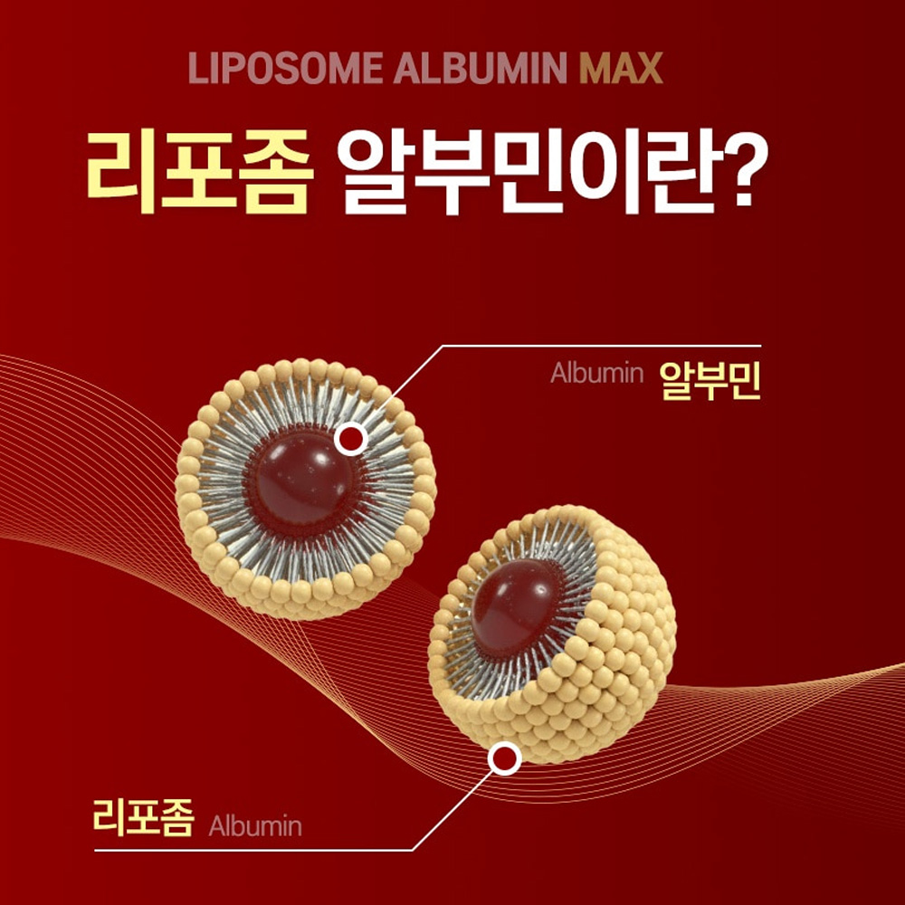 고함량 리포좀 알부민 먹는 난백 알부민 밀크씨슬 블랙마카 분말 정 4개월 albumin - 상세 이미지 3