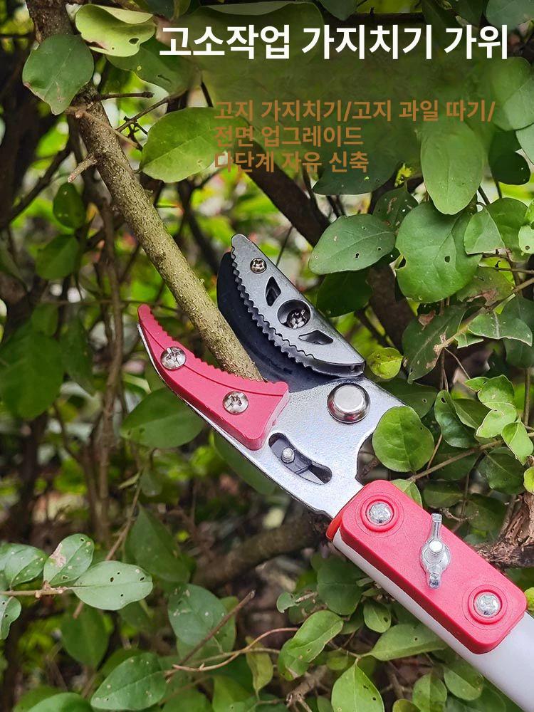 과일 도구 고지가위 전지가위 장대가위 장비 원예용 감따는기구 밤 전정가위 감따기 - 상세 이미지 2