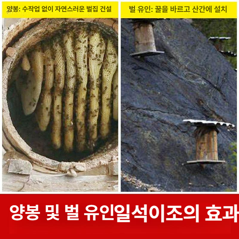소형 토종벌통 원통벌통 원형벌통 밀랍 벌집 채집통 뚜껑 커버 벌꿀 키우기 - 상세 이미지 3