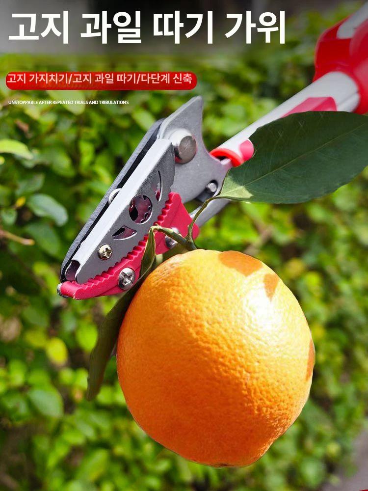 과일 도구 고지가위 전지가위 장대가위 장비 원예용 감따는기구 밤 전정가위 감따기 - 상세 이미지 4