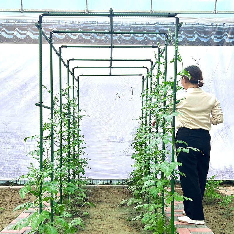 애플수박 지지대 고추 덩굴 오이키우기 상추재배 완두콩 지주대 식물 야채 대형 오이 토마토 - 상품 이미지
