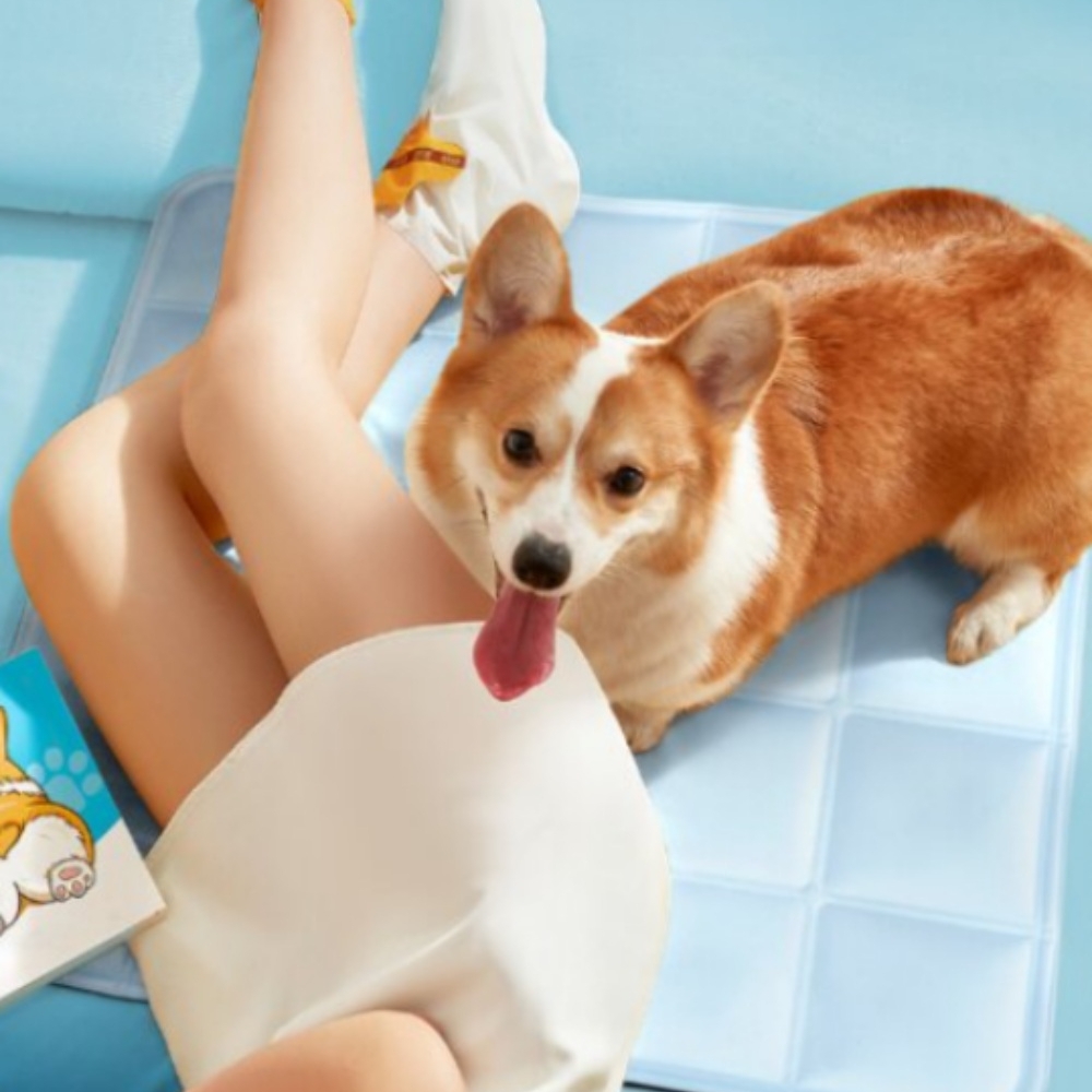 J2K 반려동물 여름 양면 쿨매트 강아지 고양이 방석 반려동물 용품 - 상품 이미지