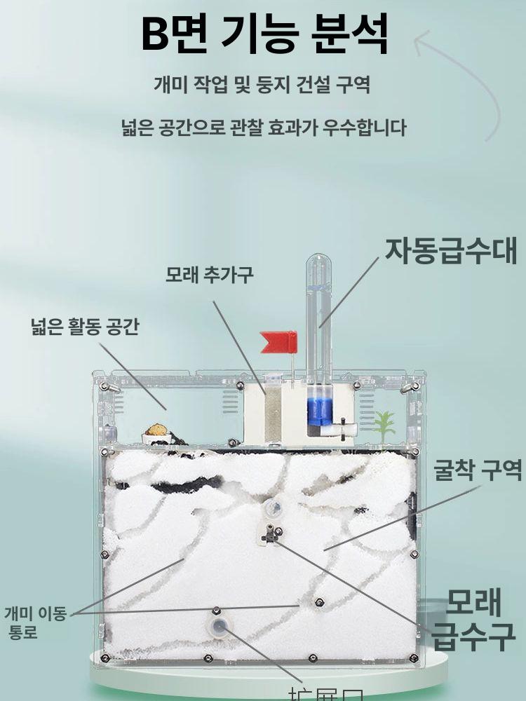 여왕개미 사육장 투명 분양 채집용 대형 하우스 브리딩 키트 개미집 아크릴 관찰용 - 상세 이미지 2