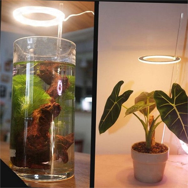 수경재배 식물 led 조명 원형 다육 led 조명 성장 실내 - 상품 이미지