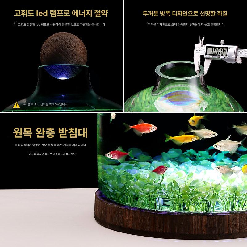 수경 어항 미니 볼형 글래스 라운드 테라리움 투명 인테리어소품 물고기집 - 상세 이미지 3