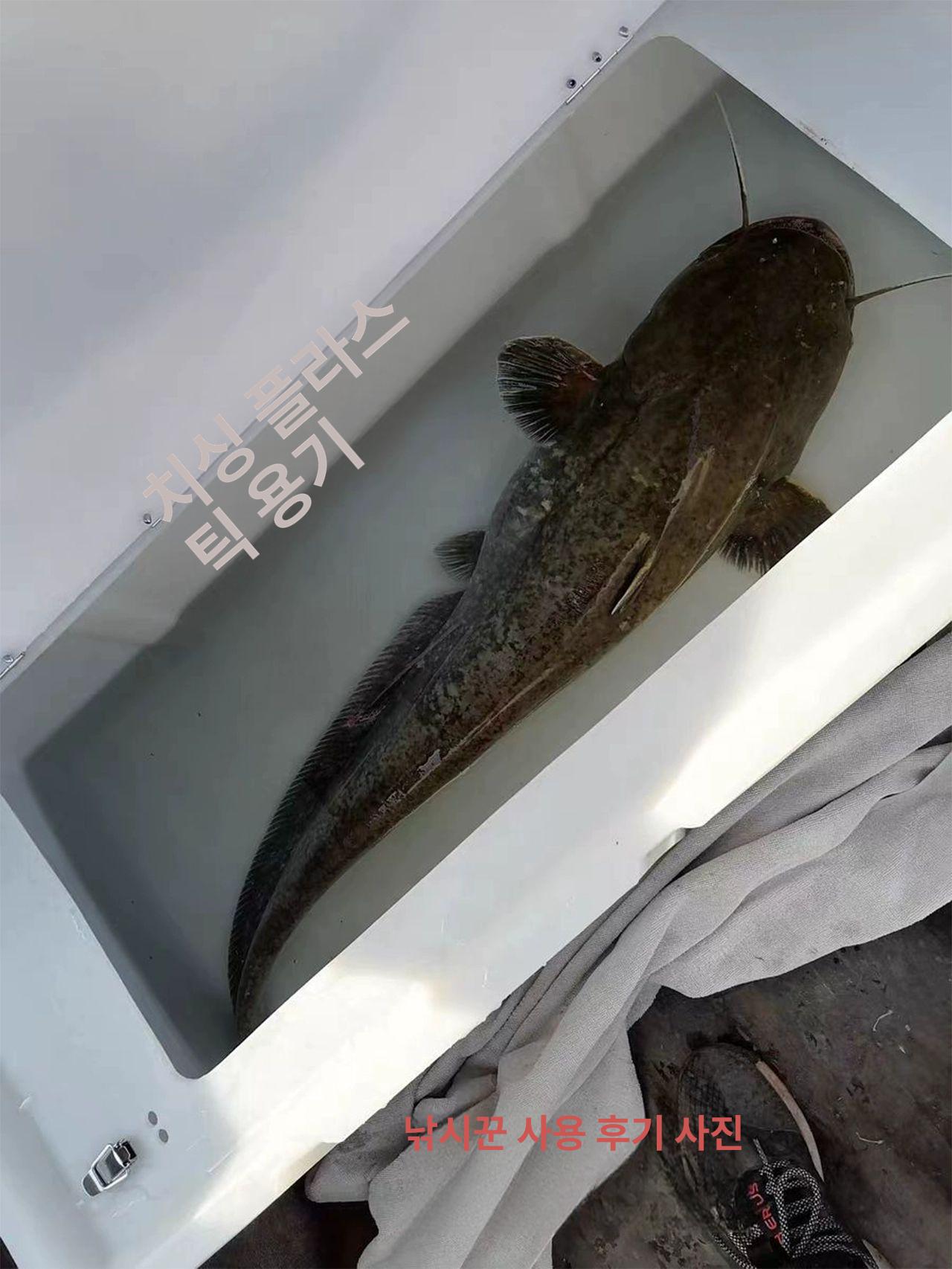 밴딩기 묶음기 지폐결속기 은행 현금 돈묶는기계 머신 띠 다발포장 지폐포장기 끈 - 상세 이미지 3