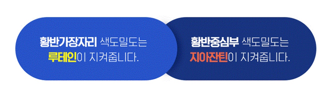 프리미엄 루테인 지아잔틴 골드 30캡슐 - 상세 이미지 5