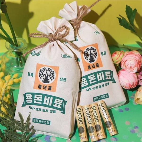 재미 이색 용돈 돈봉투 센스 설날 용돈 돈봉투 명절 추석 - 상품 이미지
