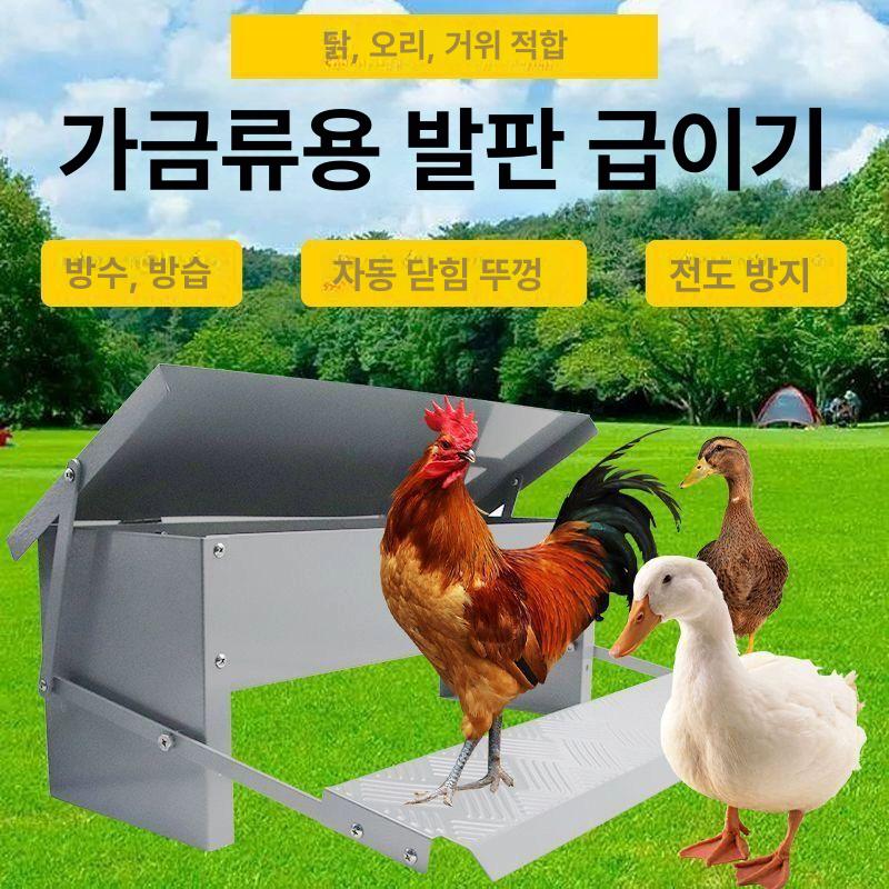 스테인레스 자동급식기 양계장 공급기 여물통 먹이 닭사료 피더 닭모이 자동급여기 - 상세 이미지 2